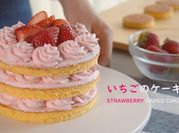 A picture of strawberry shortcake