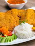 Corvina apanada