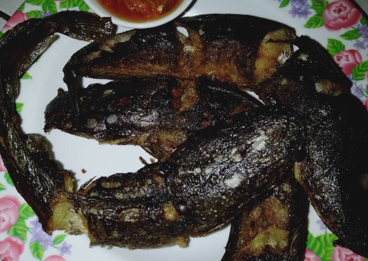 Bahan mengolah 133. Ikan Lele Goreng by Uliz Kirei yang praktis