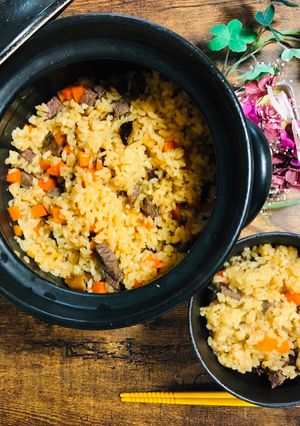 A picture of Japanese Beef Rice.