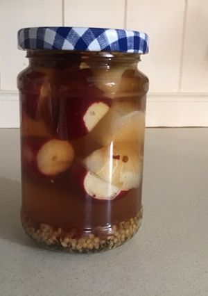 A picture of Spicy pickled radishes #mycookbook.