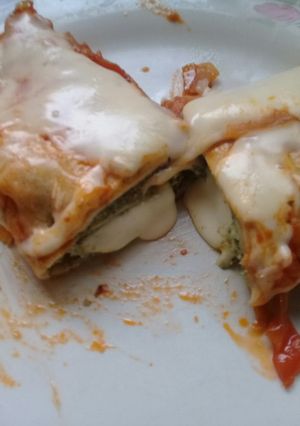 Una foto de Canelones de verdura, ricota, jamón y queso
