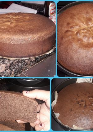 Una foto de Bizcochuelo de Vainilla y Cacao