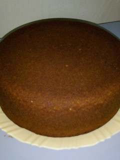 A picture of Vanilla cake.