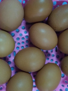Foto resep Telur asin