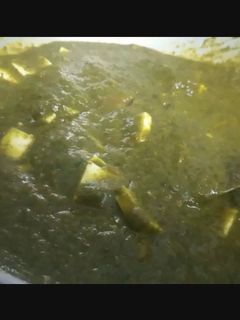 पालक-पनीर (palak paneer recipe in marathi) रेसिपी चे मुख्य फोटो
