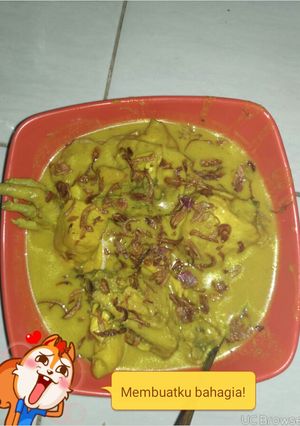 Foto resep Opor ayam pemula