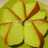 Bolu Pandan Mirip Chiffon Super Lembut Tanpa Pengembang/Obat2an