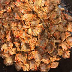 A picture of Peppered Gizzard.