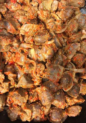 A picture of Peppered Gizzard.