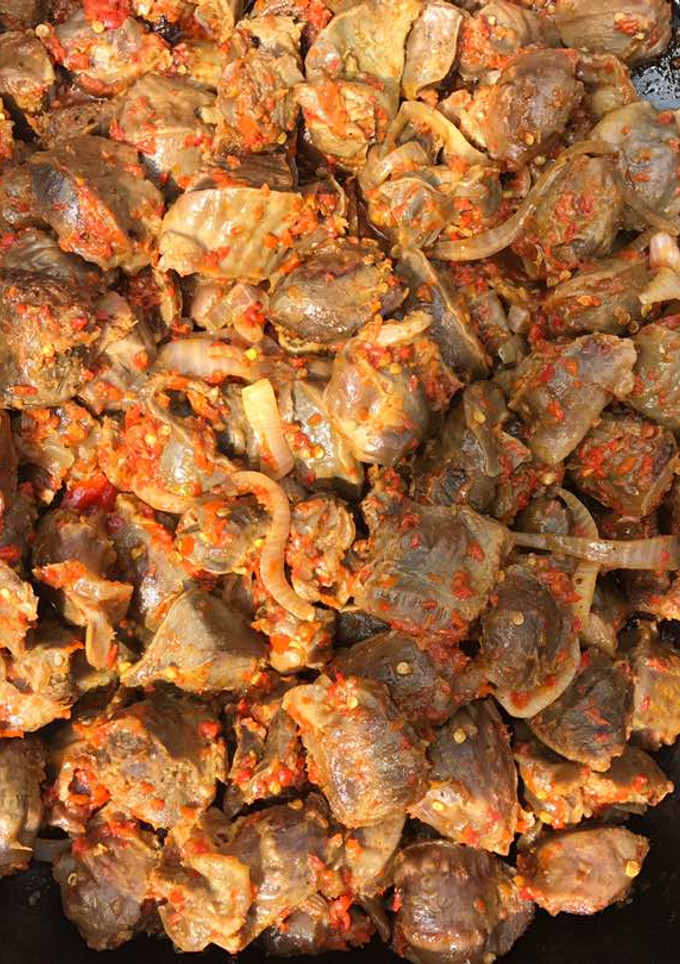 A picture of Peppered Gizzard.