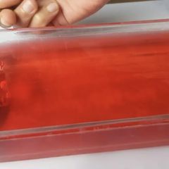 A picture of Strawberry Jelly.