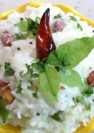A picture of Curd Rice .