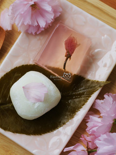 ♥開動with貓♥櫻花果凍 的食譜成品照片