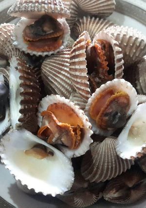Foto resep Kerang