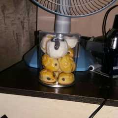 รูปของ Nastar landak dan shaun the sheep