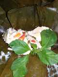 Pepes tahu kemangi # reecook Mbk Intan Puspawati