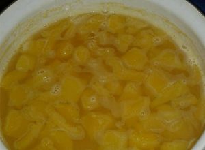 Foto resep Manisan Carica