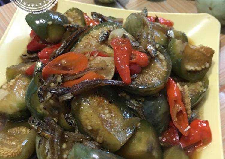 Oseng2 terong lalap teri