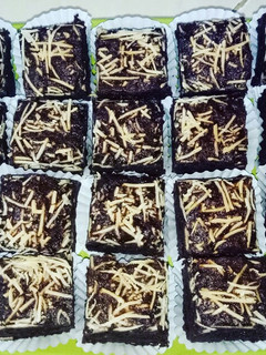 Foto resep Choco Cheese Chewy Brownies