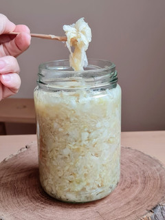 Una foto de Chucrut o repollo blanco fermentado 🇩🇪 Sauerkraut (col agria) ♥ Probióticos 🇩🇪 Alemania