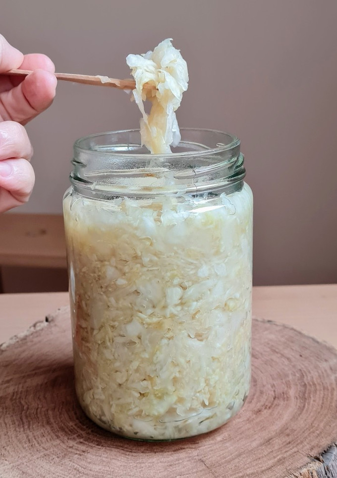 Una foto de Chucrut o repollo blanco fermentado 🇩🇪 Sauerkraut (col agria) ♥ Probióticos 🇩🇪 Alemania