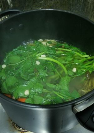 A picture of Chinese Watercress Soup 西洋菜湯.