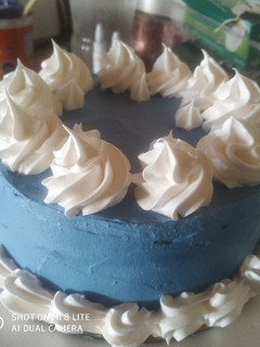 Una foto de TORTA DE CREMA SABOR CHANTILLY, DULCE DE LECHE Y MERENGUE !!!