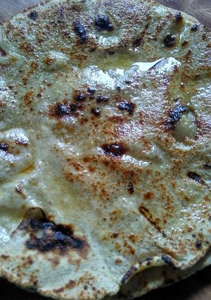 A picture of Jowar roti.