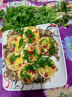 હેલ્ધી બાસ્કેટ ચાટ(Healthy Basket Chaat Recipe In Gujarati) રેસીપી મુખ્ય ફોટો