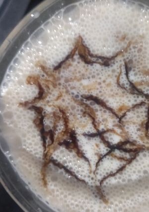 બોર્નવિટા મિલ્ક (Bournvita Milk Recipe In Gujarati) રેસીપી મુખ્ય ફોટો