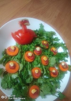 A picture of Salad decorating plate.