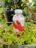 Strawberry MilkShake