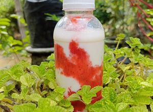 Foto resep Strawberry MilkShake