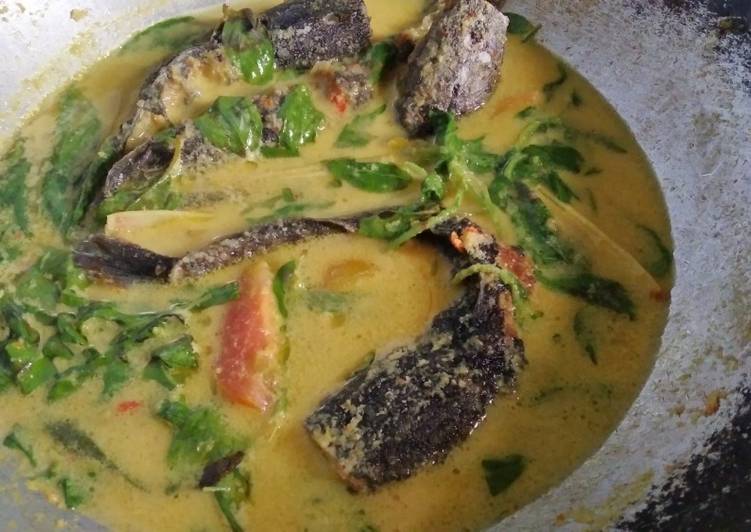 Resep 7. Lele Kuah Santan Kemangi yang Lezat