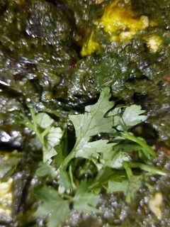 পালং পনির (palak paneer recipe in Bengali) রেসিপির প্রধান ছবি