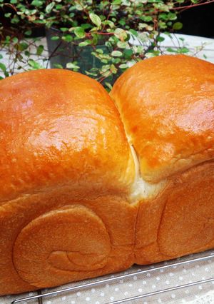 雙峰q彈吐司-冷藏法 的食譜成品照片