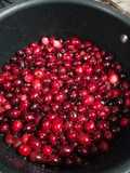 Old Fashioned cranberry sauce