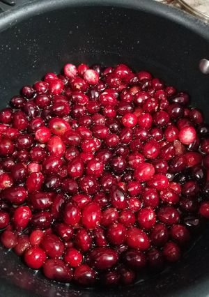 A picture of Old Fashioned cranberry sauce.