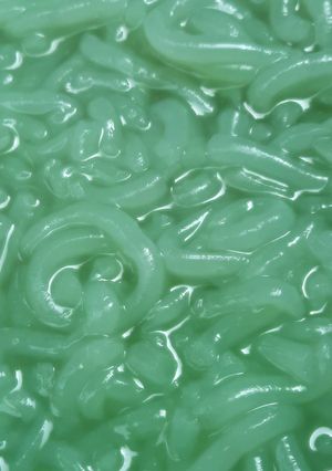 Foto resep Cendol Maizena