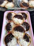 Terang Bulan Mini