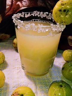 આમળા નો જ્યુસ (aamla juice recipe in Gujarati) રેસીપી મુખ્ય ફોટો