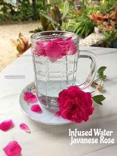 Foto resep Infused Water Javanese Rose (Air Rendaman Bunga Mawar)