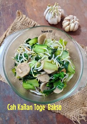 Foto resep Cah Kailan Toge Bakso