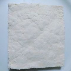 Homemade paneer A picture of Homemade paneer.