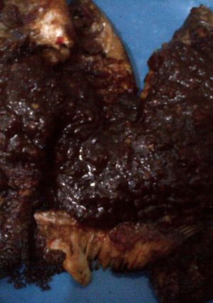Foto resep Ikan Mujair bumbu bajak