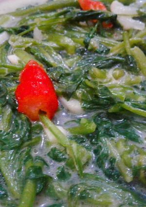 Foto resep Jembak (Selada Air) Kuah Santan Gurih dan Segar