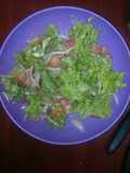 Ensalada de tomate, lechuga, cebolla y pepinitos