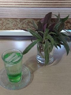 عکسی از دستور شربت نعناع با عرق نعناع