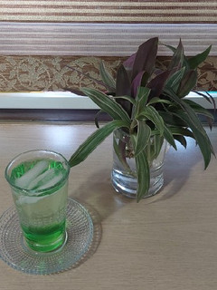 عکسی از دستور شربت نعناع با عرق نعناع